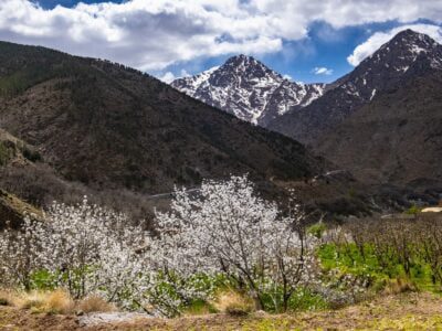 Mount Toubkal Climb