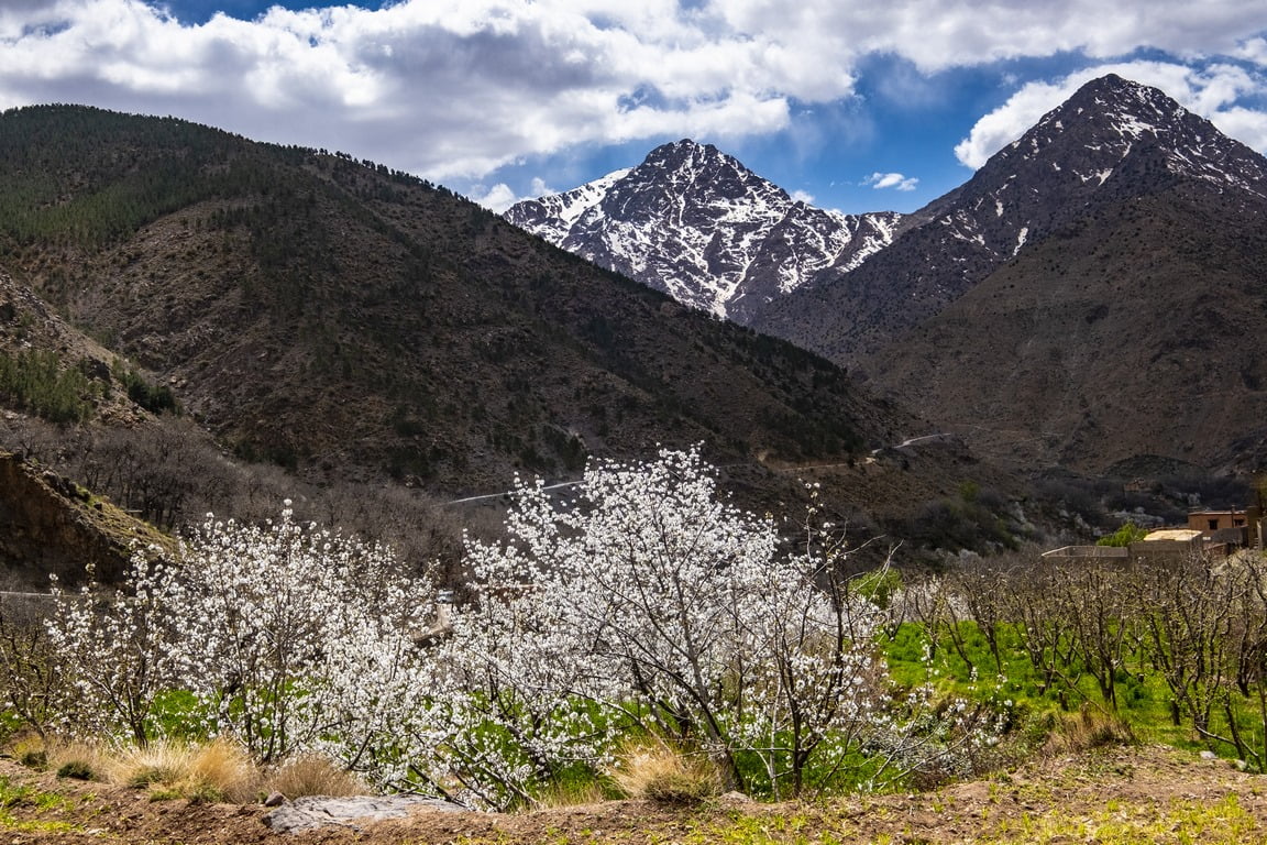 Mount Toubkal Climb