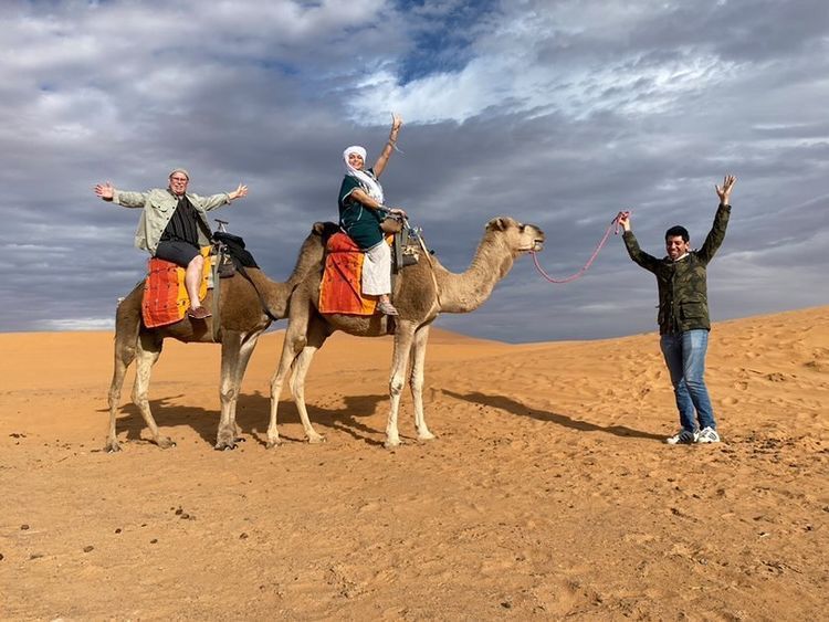 Camel in Agafay Desert