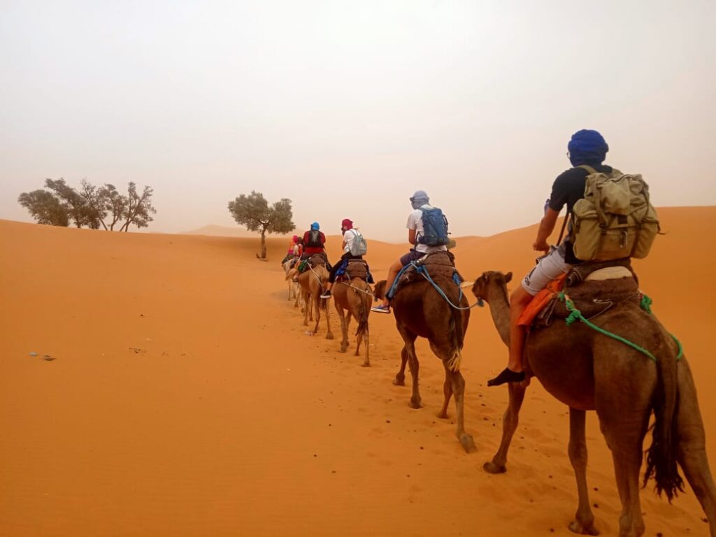 Camel ride and camel trek through the mesmerizing dunes