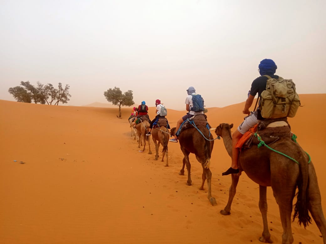 Explore the dunes of the Sahara Desert on a camel ride.