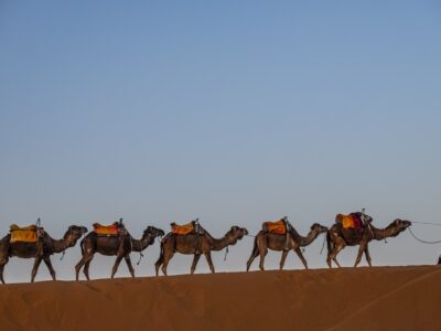 Sahara Desert tour experience