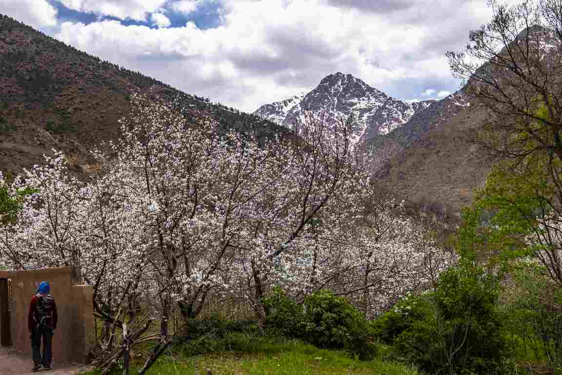 Mount Toubkal Ascent Trekking Experience