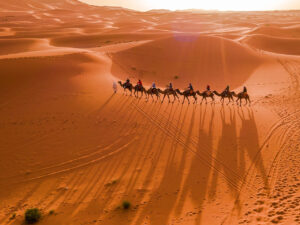 Enchanting Camel Treks