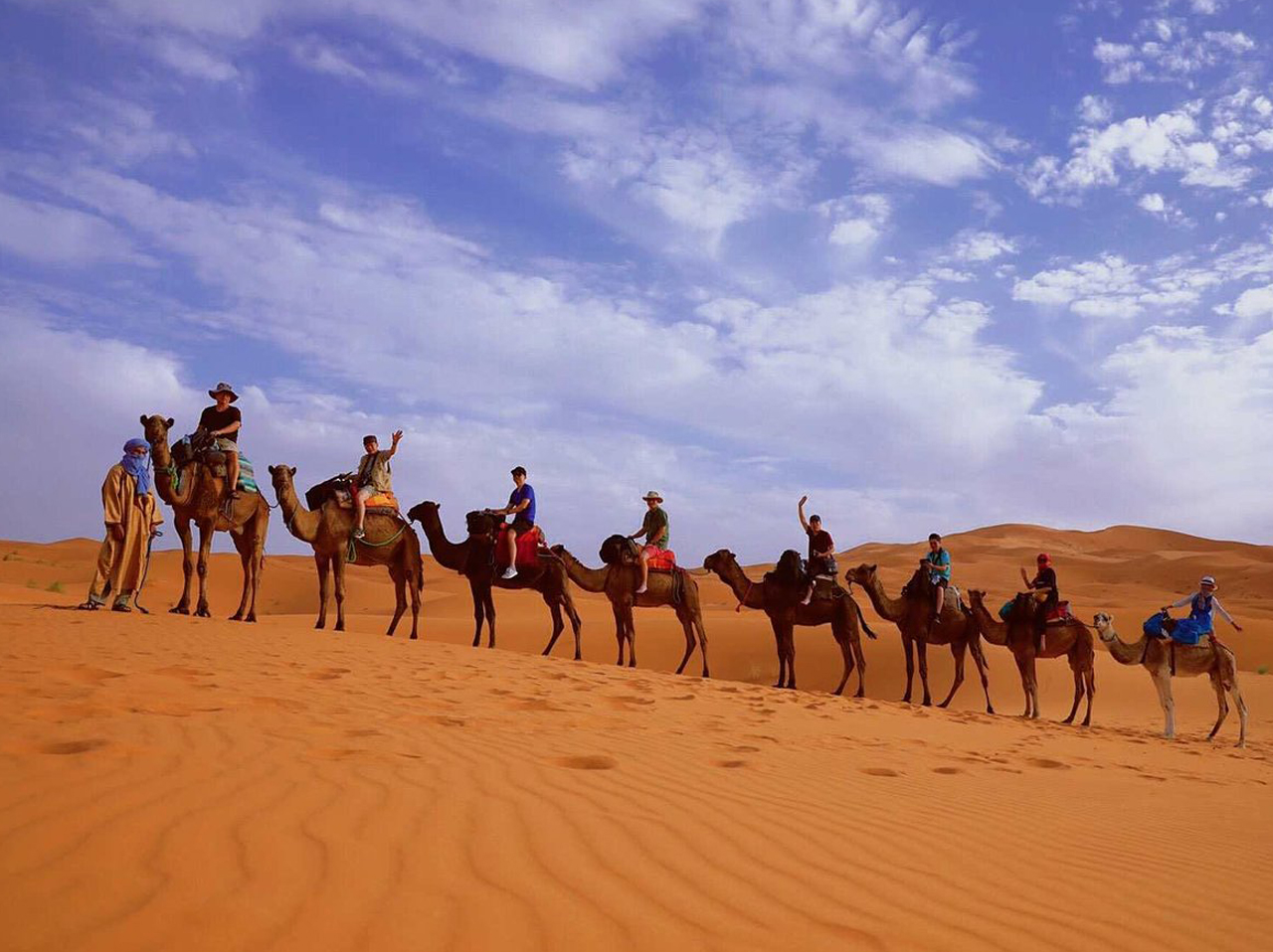 Camel Trekking in the Sahara Desert