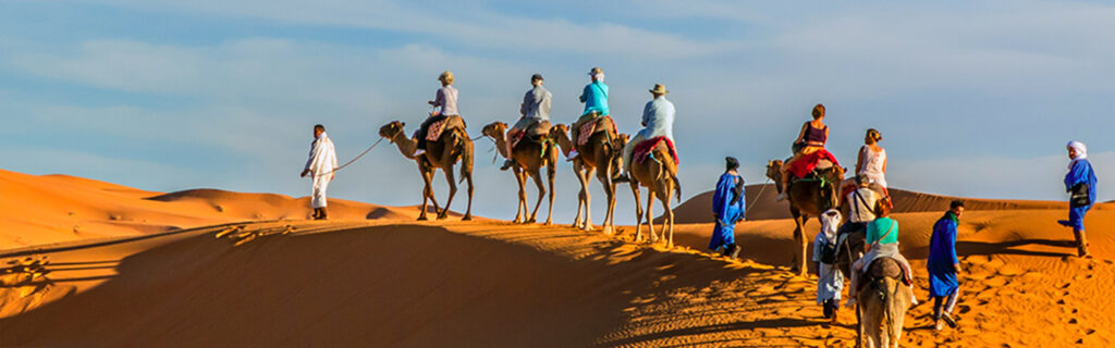 Camel Trek and Sunset Soiree in the Agafay Desert