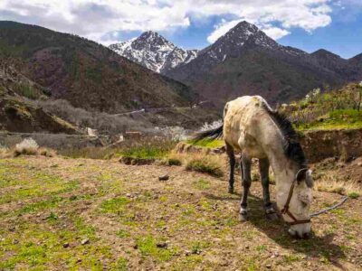 Challenges on Mount Toubkal