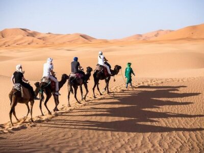 camel in Agafay Desert