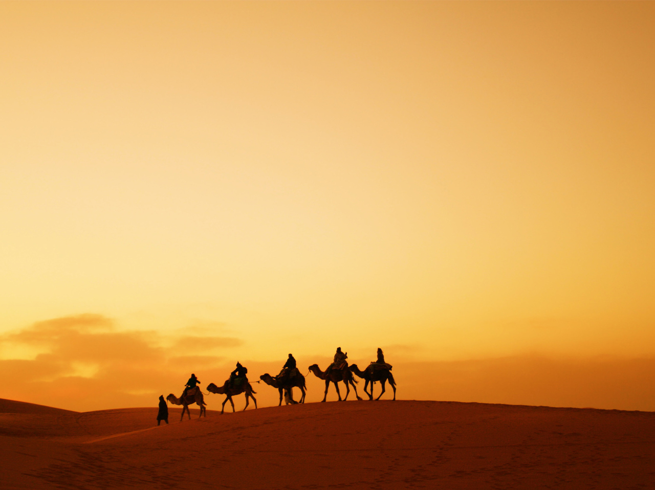 Merzouga camel treks