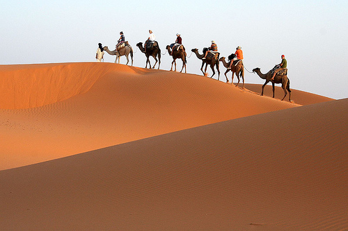 User
The Lala Lallia star dune in Morocco