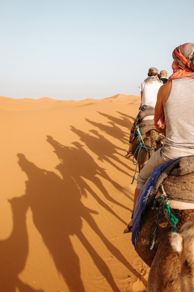 Sahara Desert on a camel trekking tour